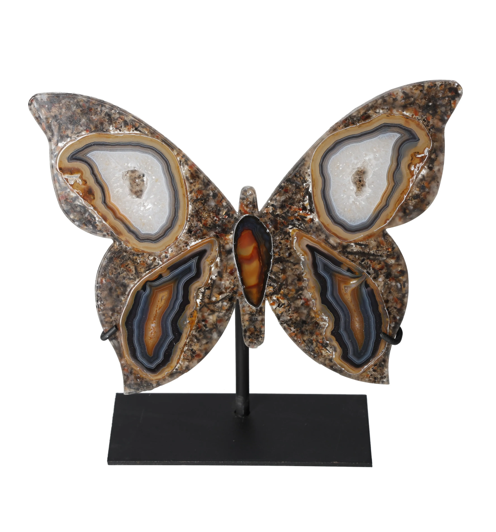 orbitvu|type:image2d