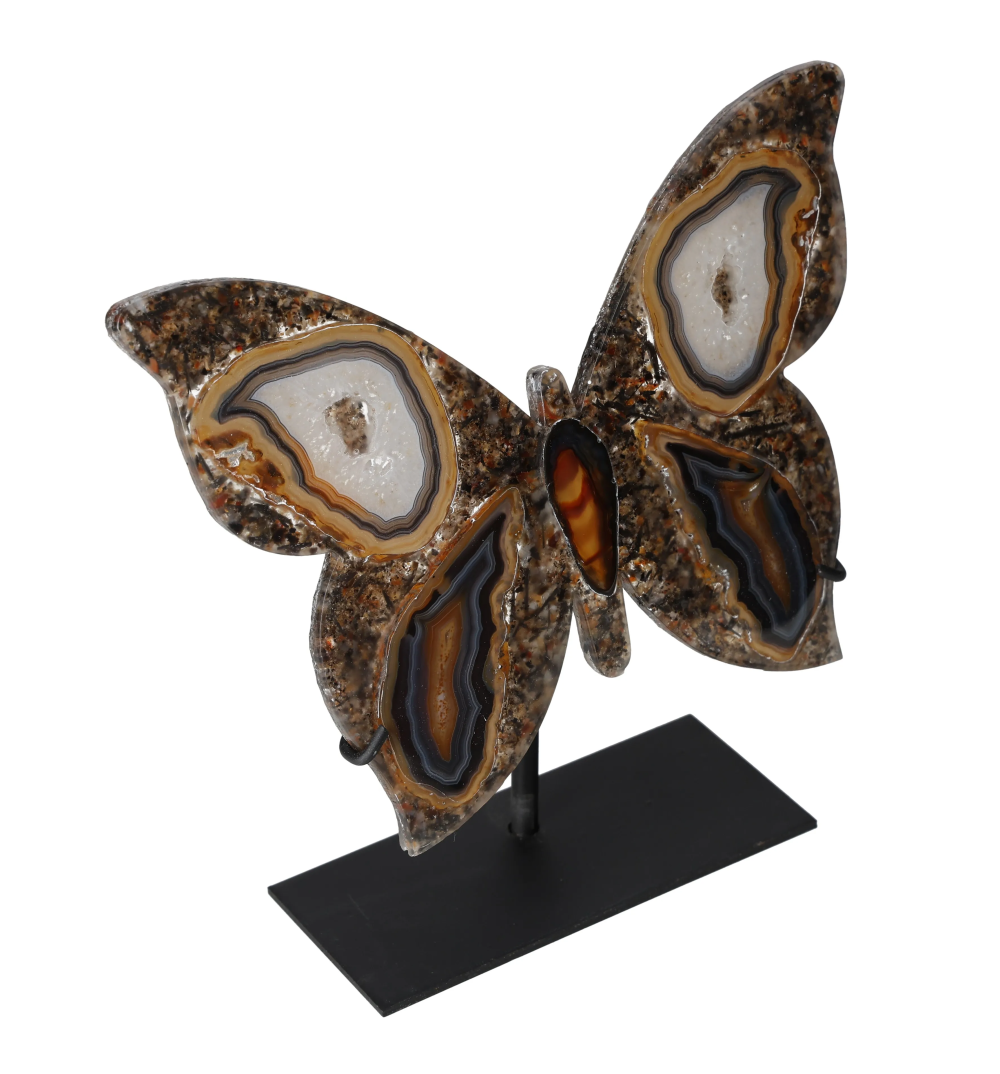 orbitvu|type:image2d