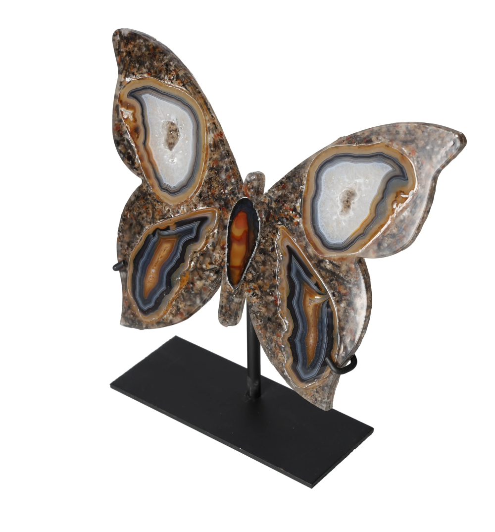 orbitvu|type:image2d