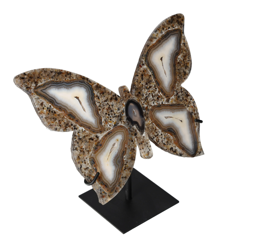 orbitvu|type:image2d