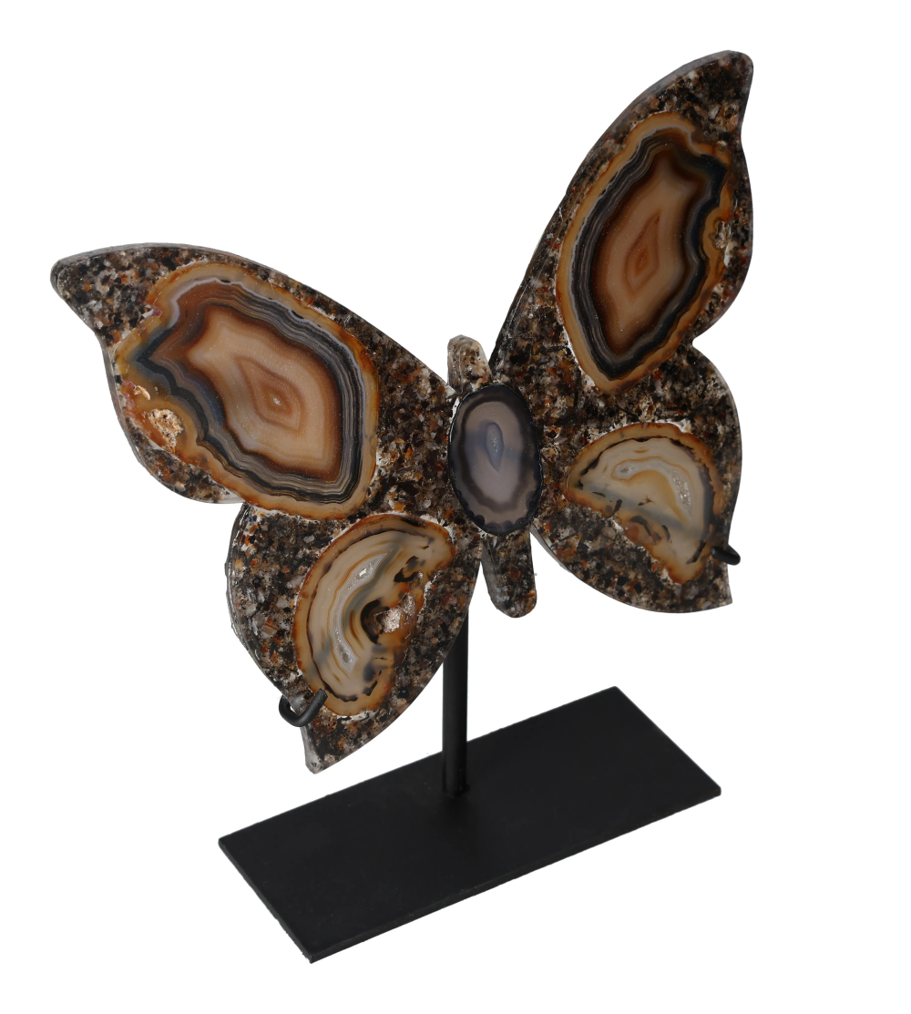 orbitvu|type:image2d