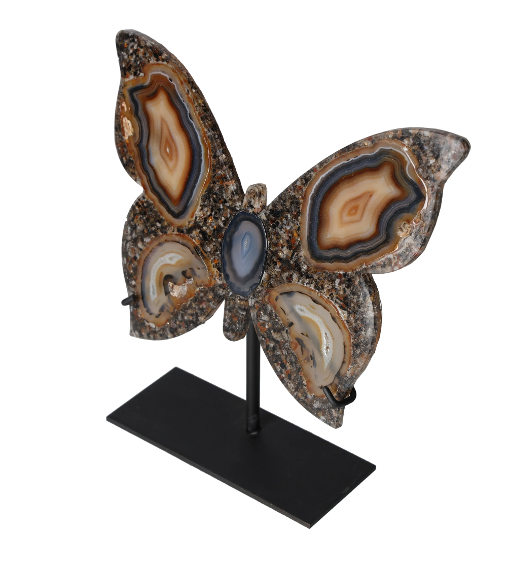 orbitvu|type:image2d