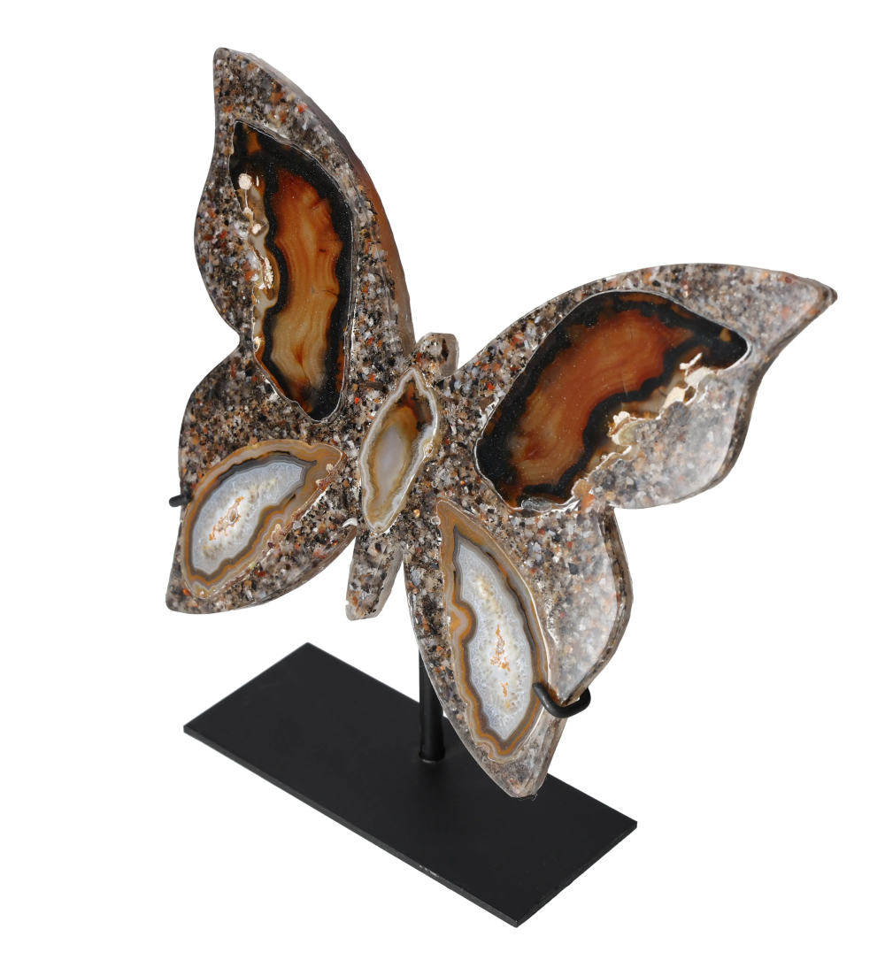 orbitvu|type:image2d