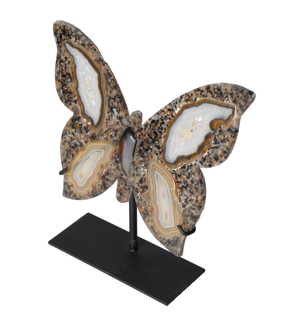 orbitvu|type:image2d