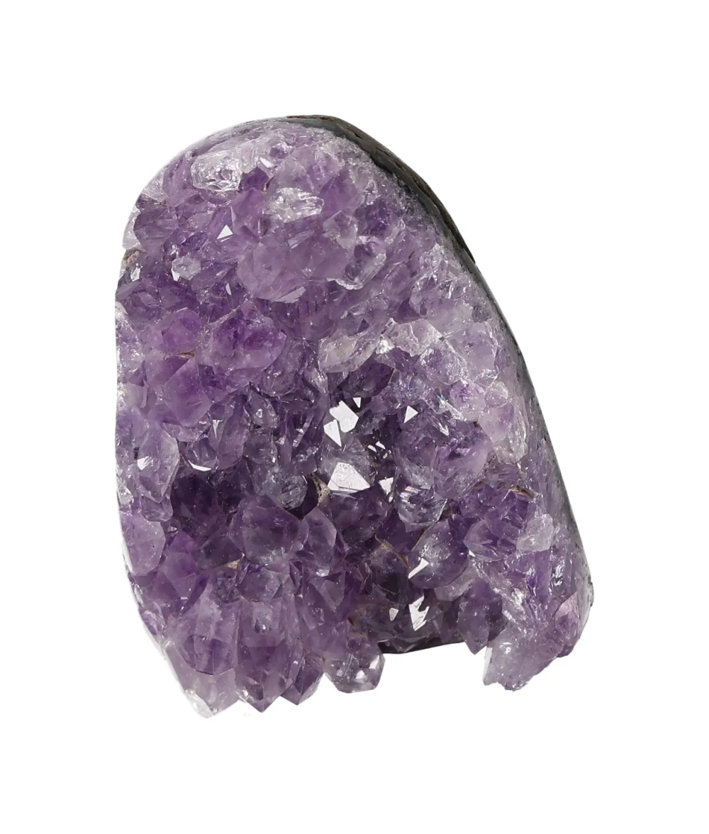 orbitvu|type:image2d