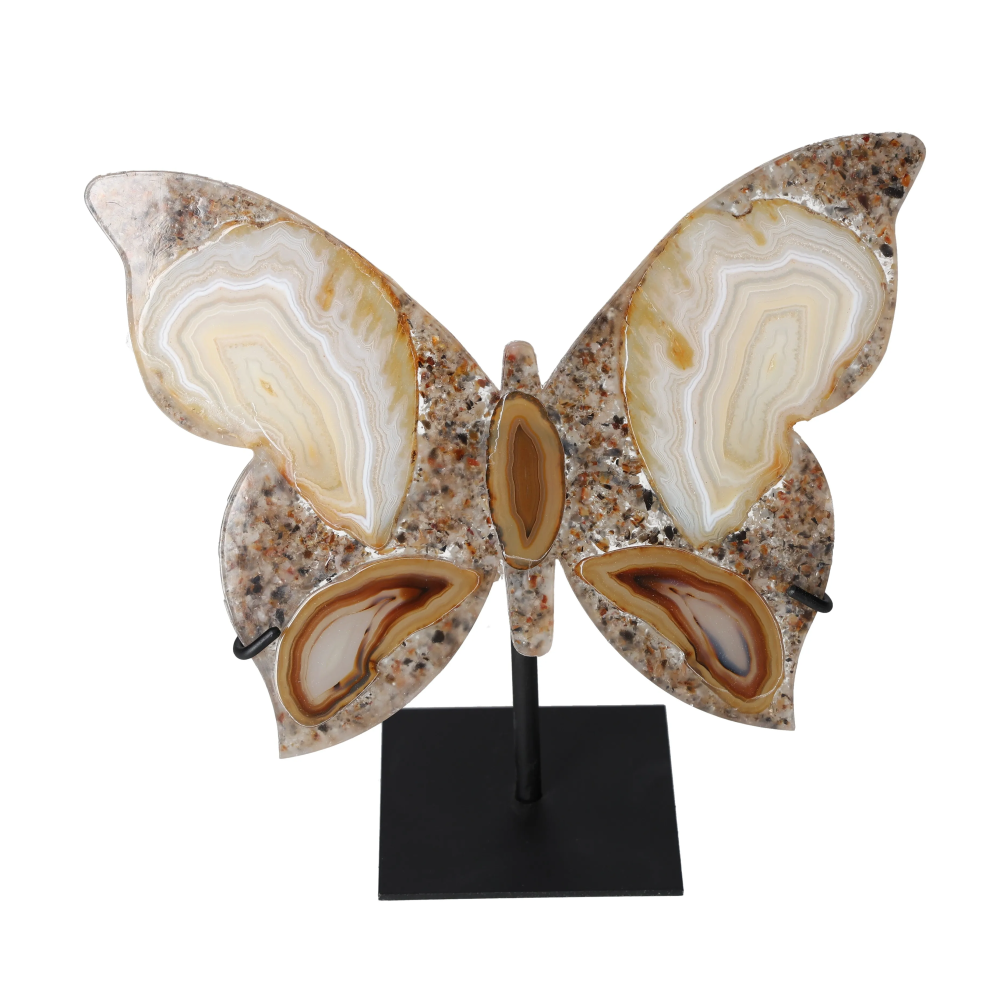 orbitvu|type:image2d