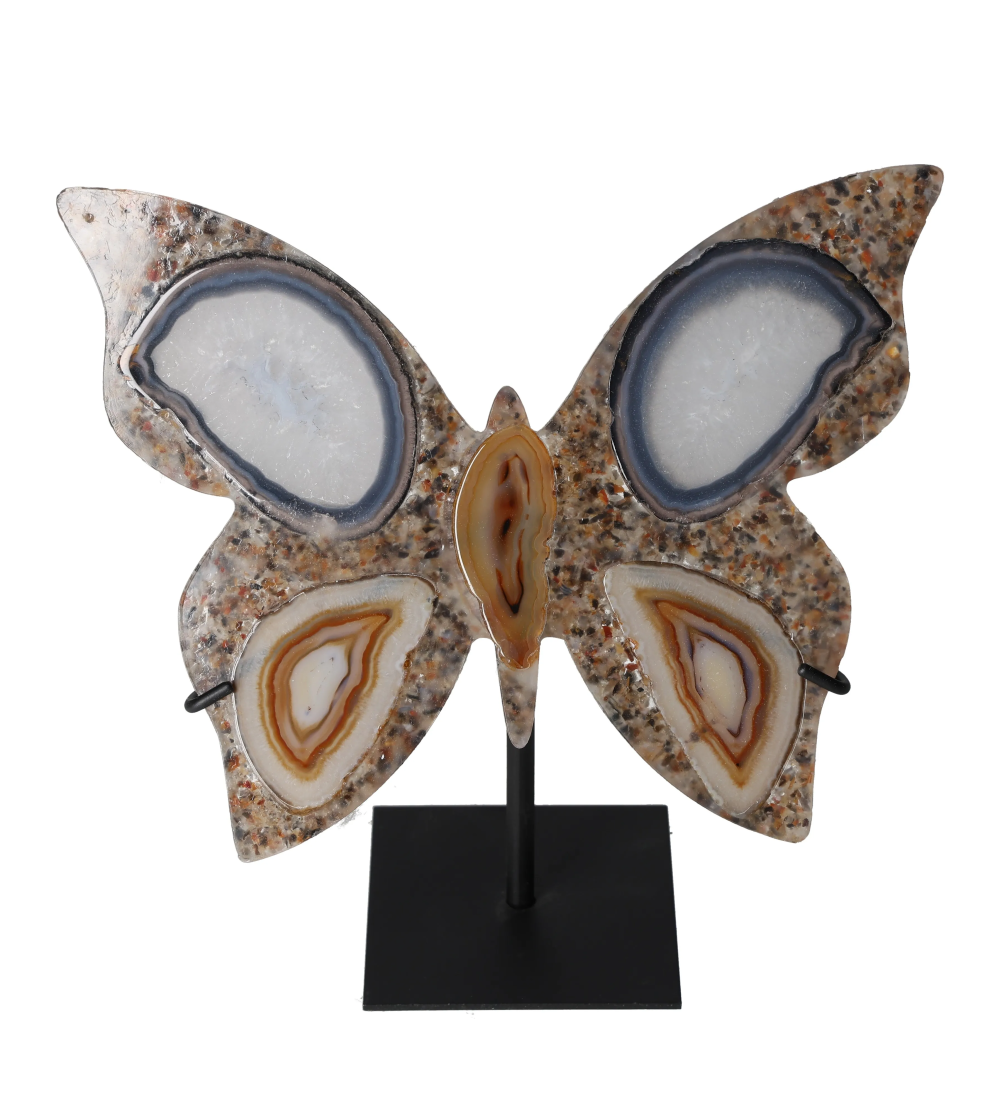 orbitvu|type:image2d