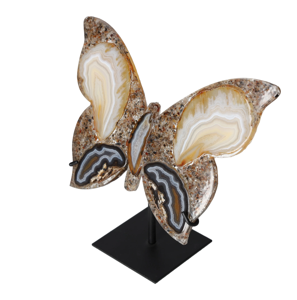 orbitvu|type:image2d