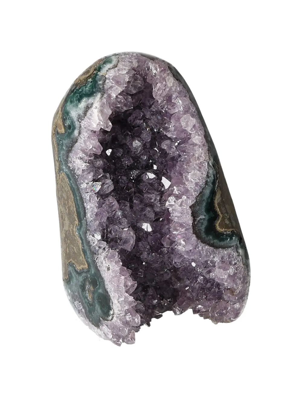 orbitvu|type:image2d