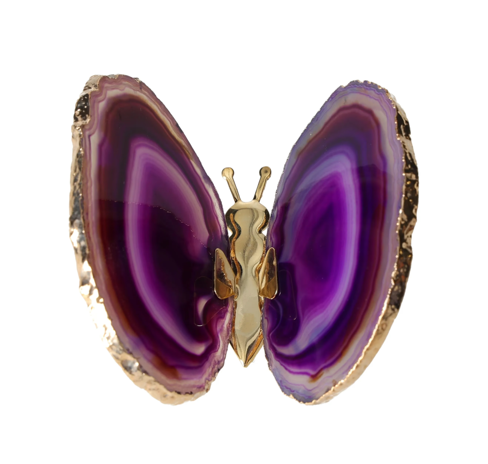 orbitvu|type:image2d