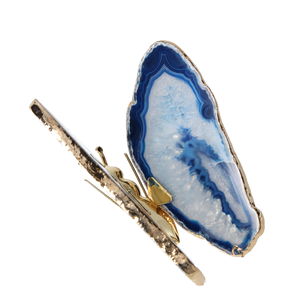 orbitvu|type:image2d