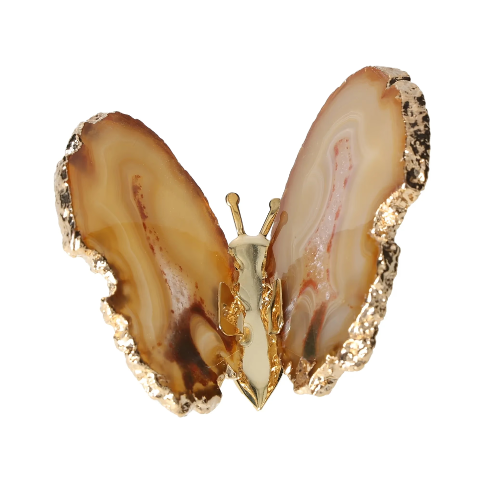 orbitvu|type:image2d