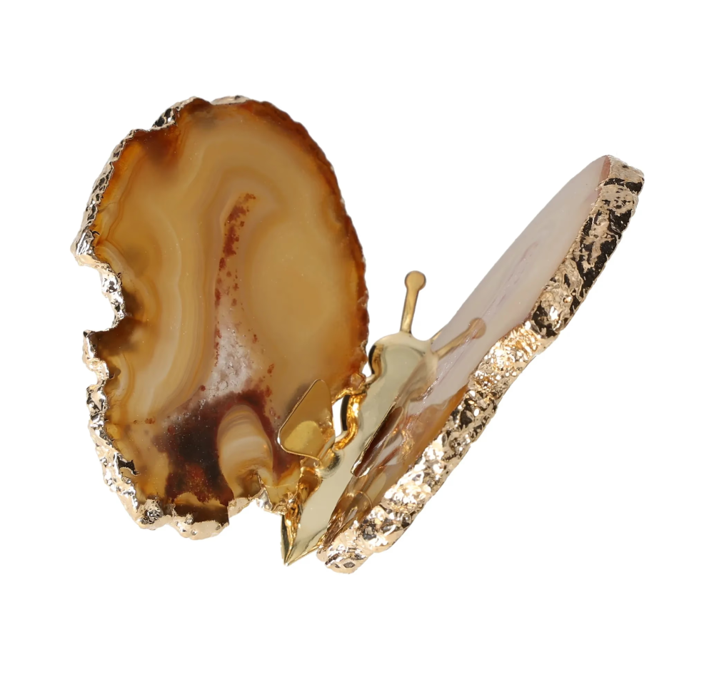 orbitvu|type:image2d