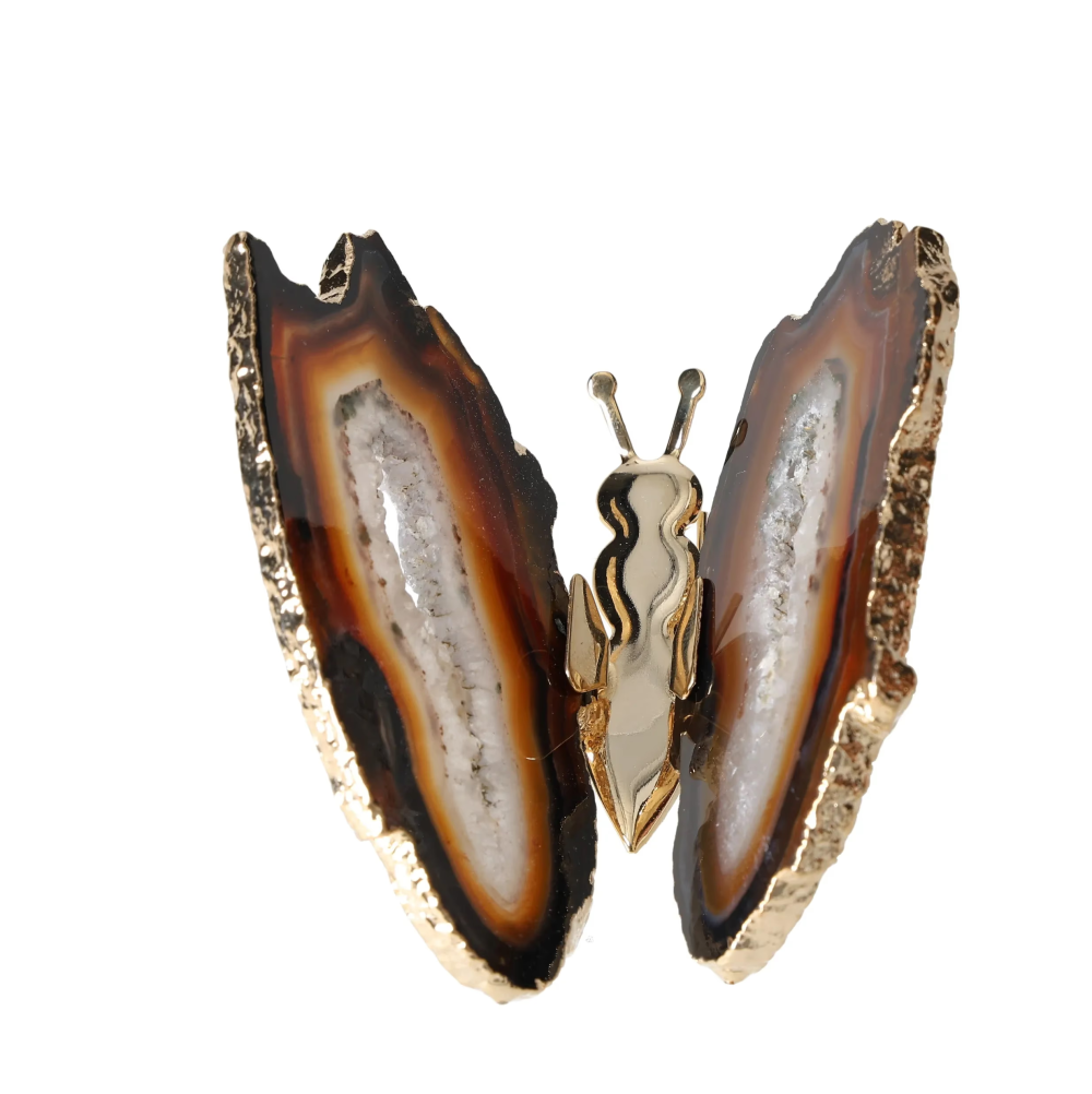 orbitvu|type:image2d