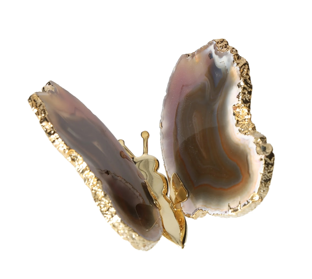 orbitvu|type:image2d