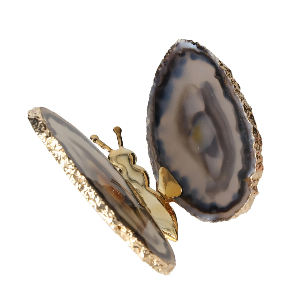 orbitvu|type:image2d