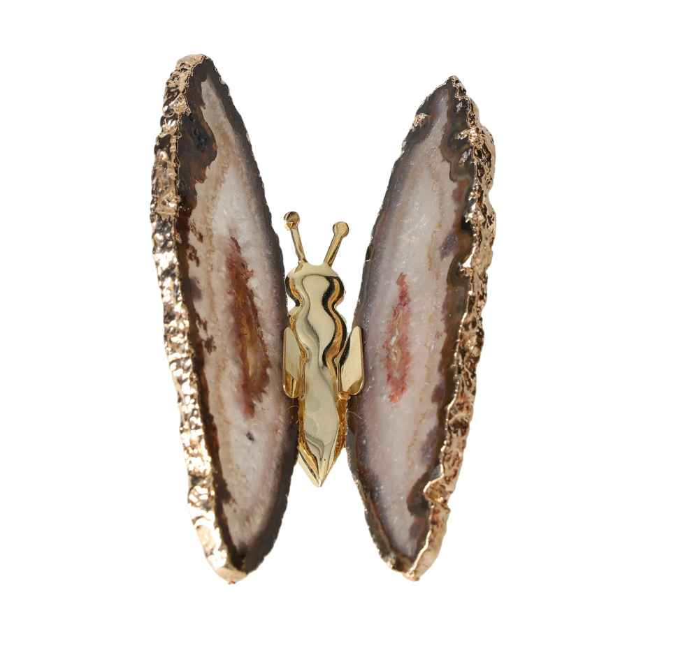 orbitvu|type:image2d