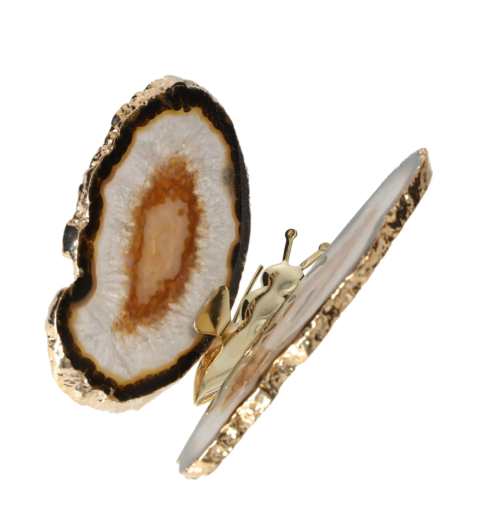 orbitvu|type:image2d