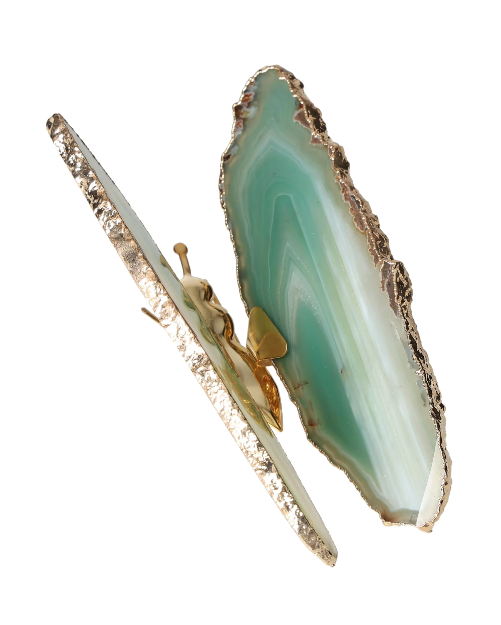 orbitvu|type:image2d