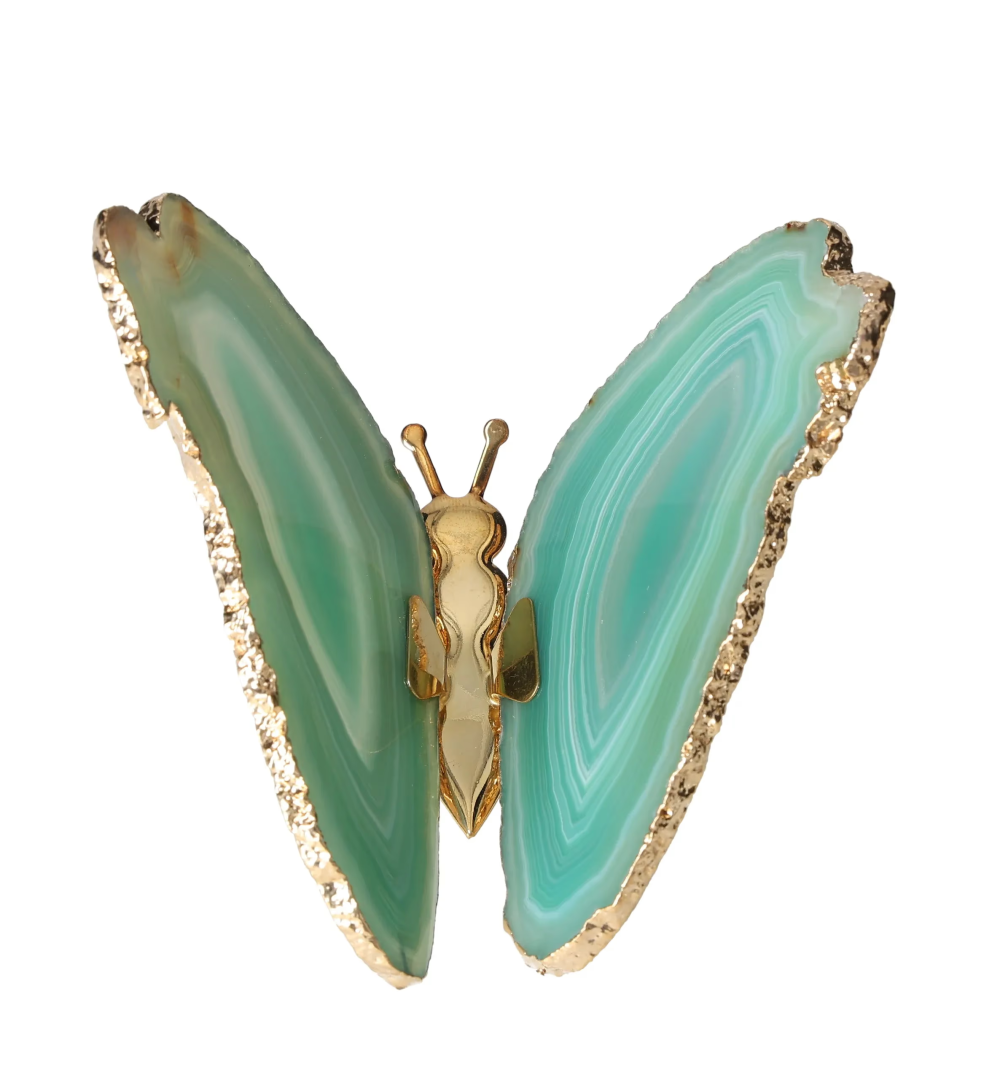 orbitvu|type:image2d