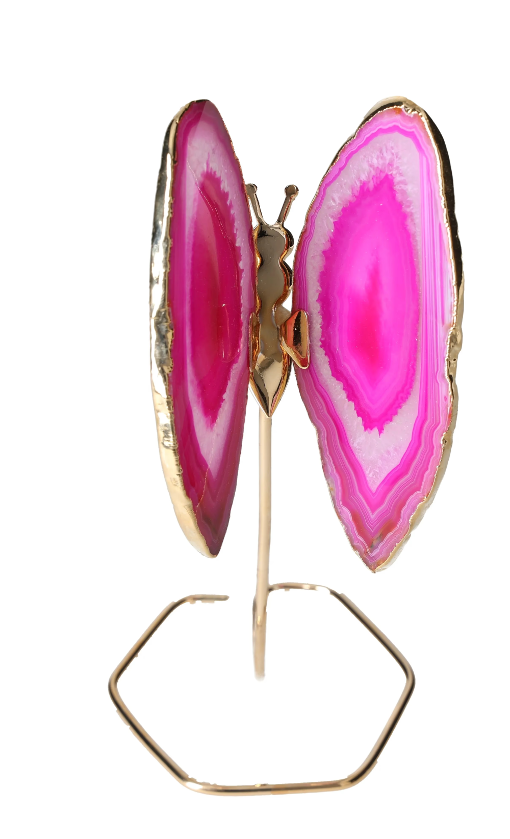 orbitvu|type:image2d