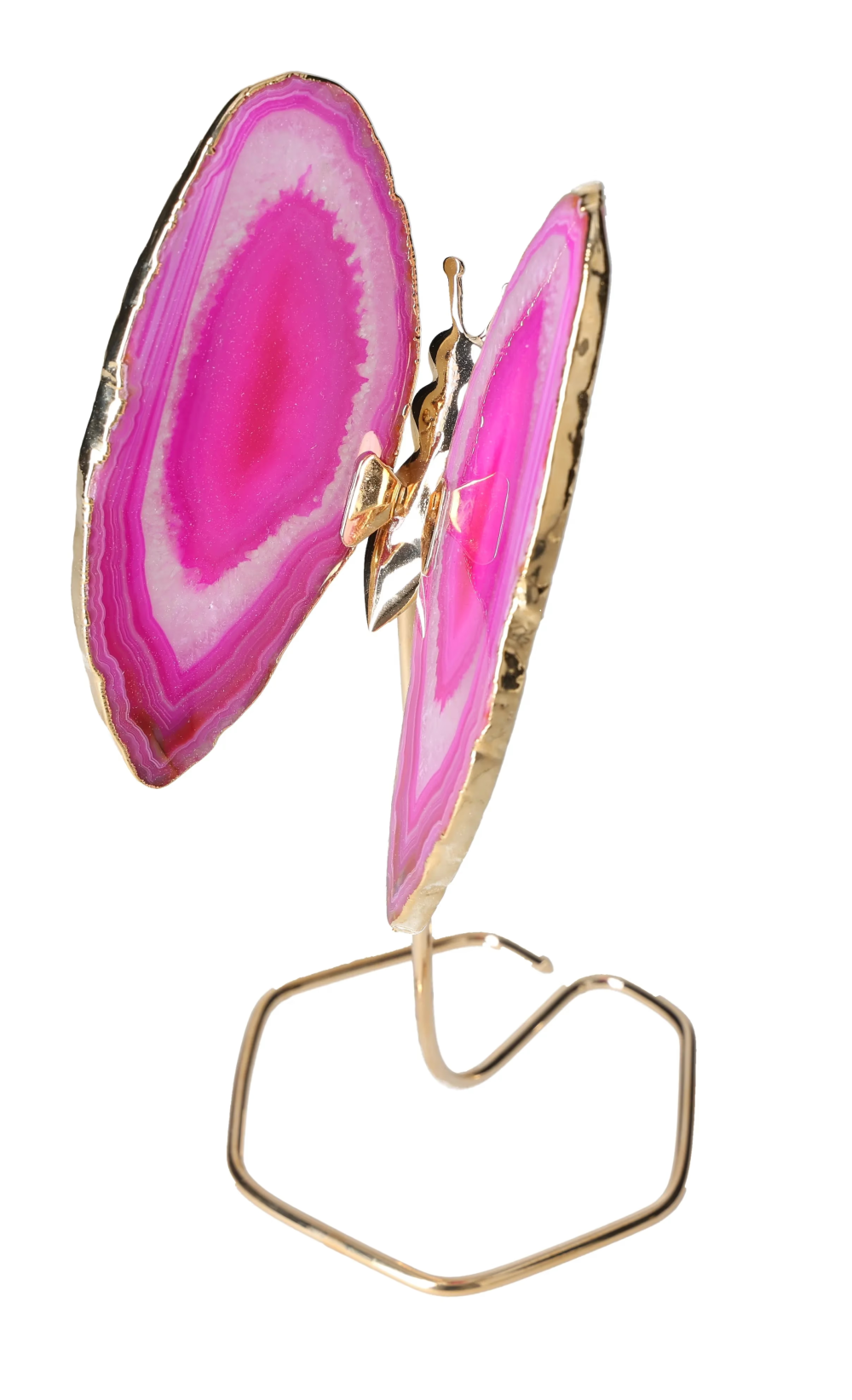 orbitvu|type:image2d