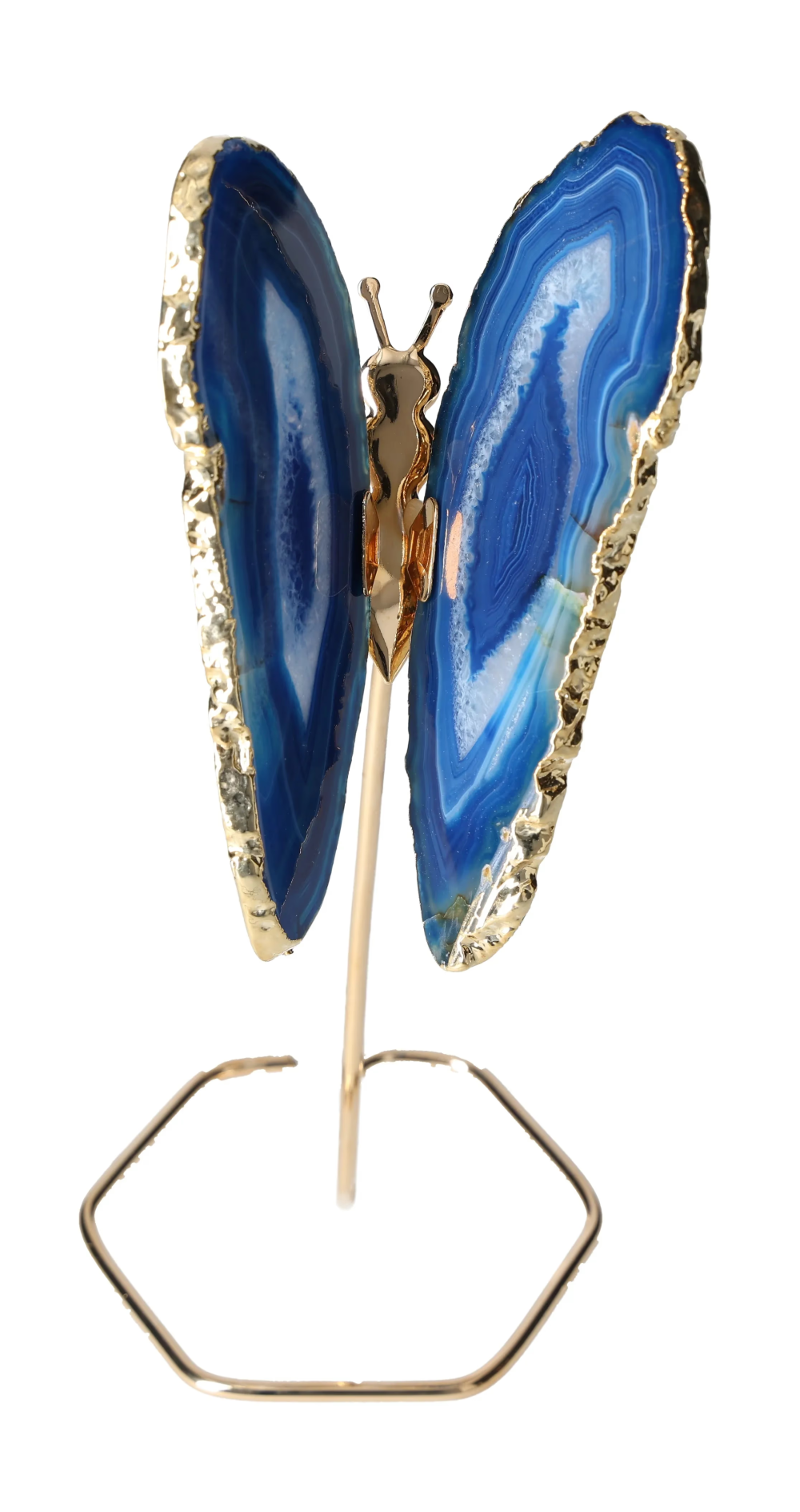 orbitvu|type:image2d