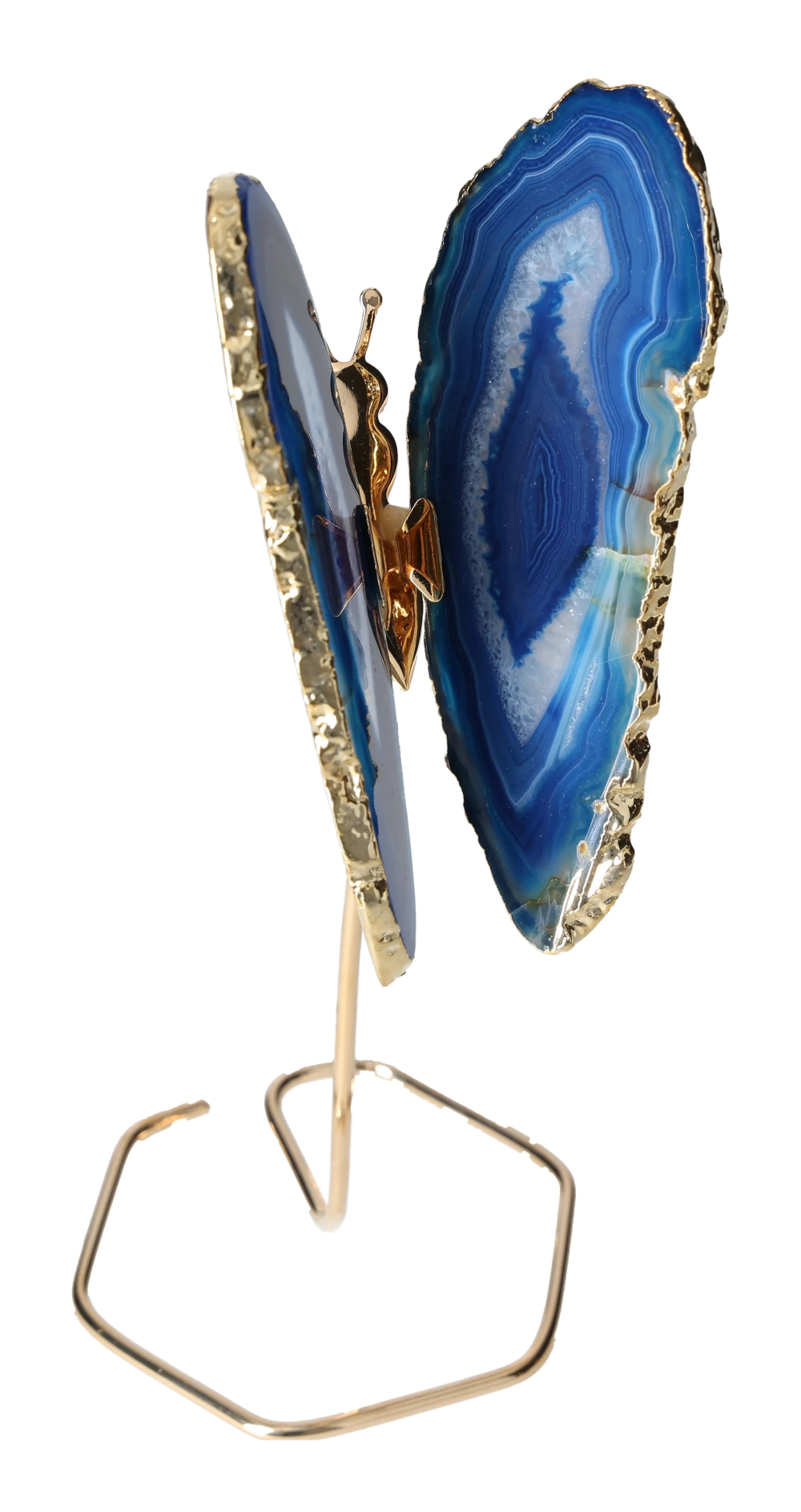 orbitvu|type:image2d