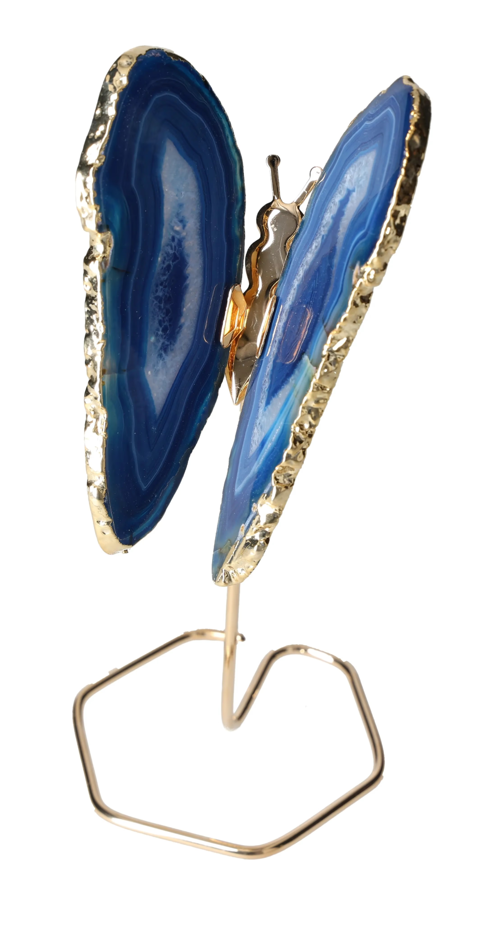 orbitvu|type:image2d