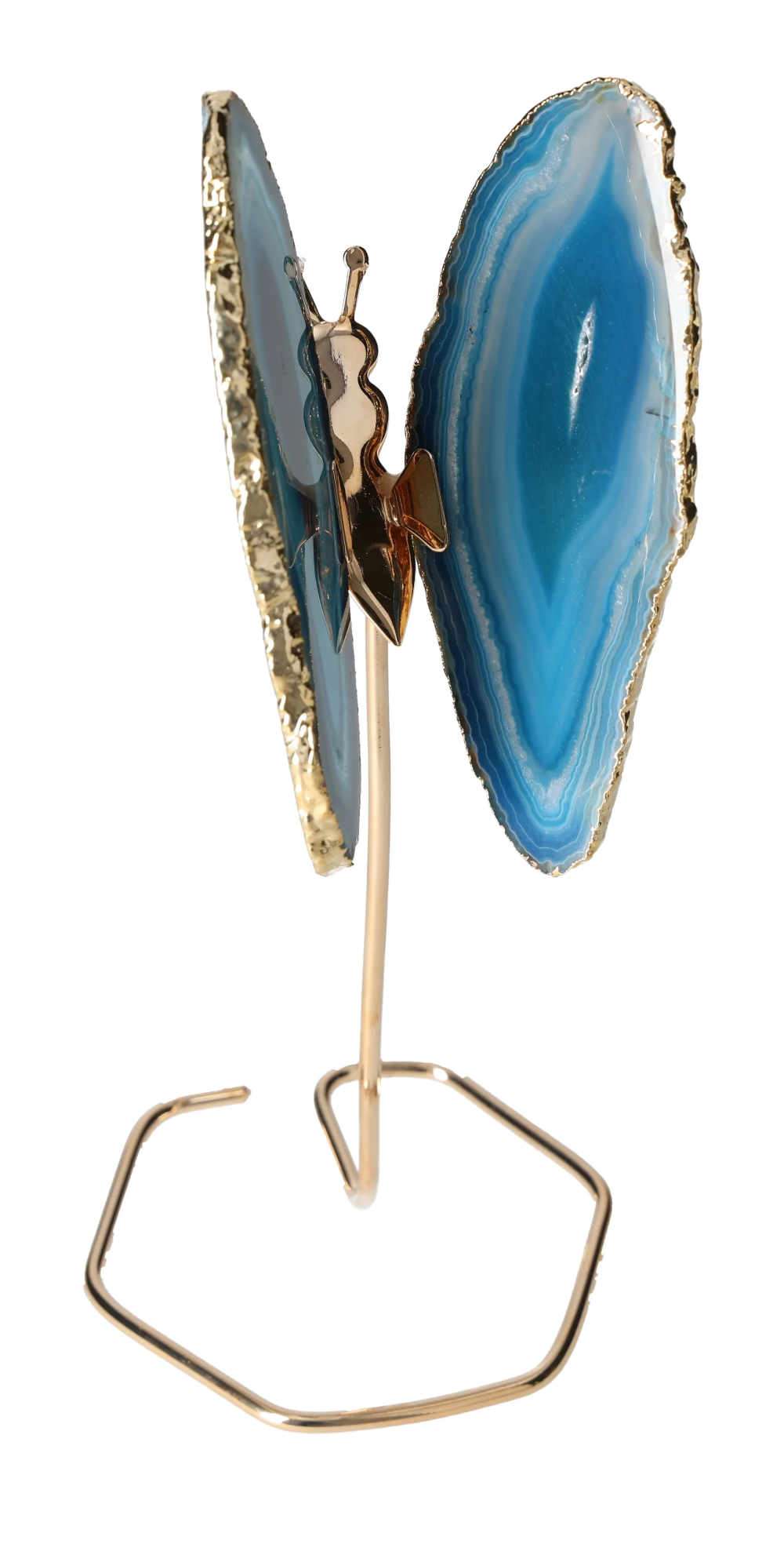 orbitvu|type:image2d