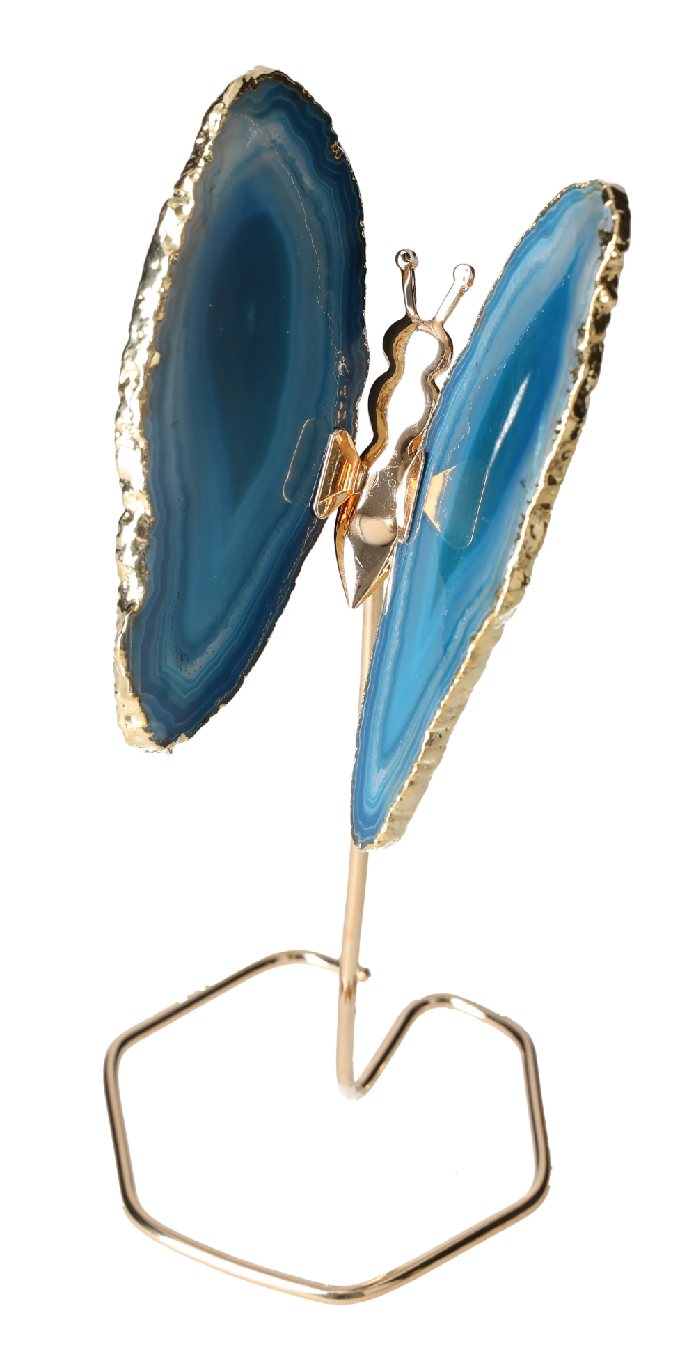 orbitvu|type:image2d