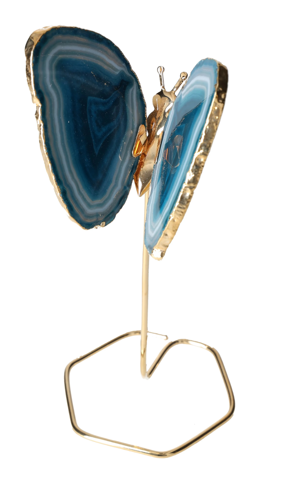 orbitvu|type:image2d