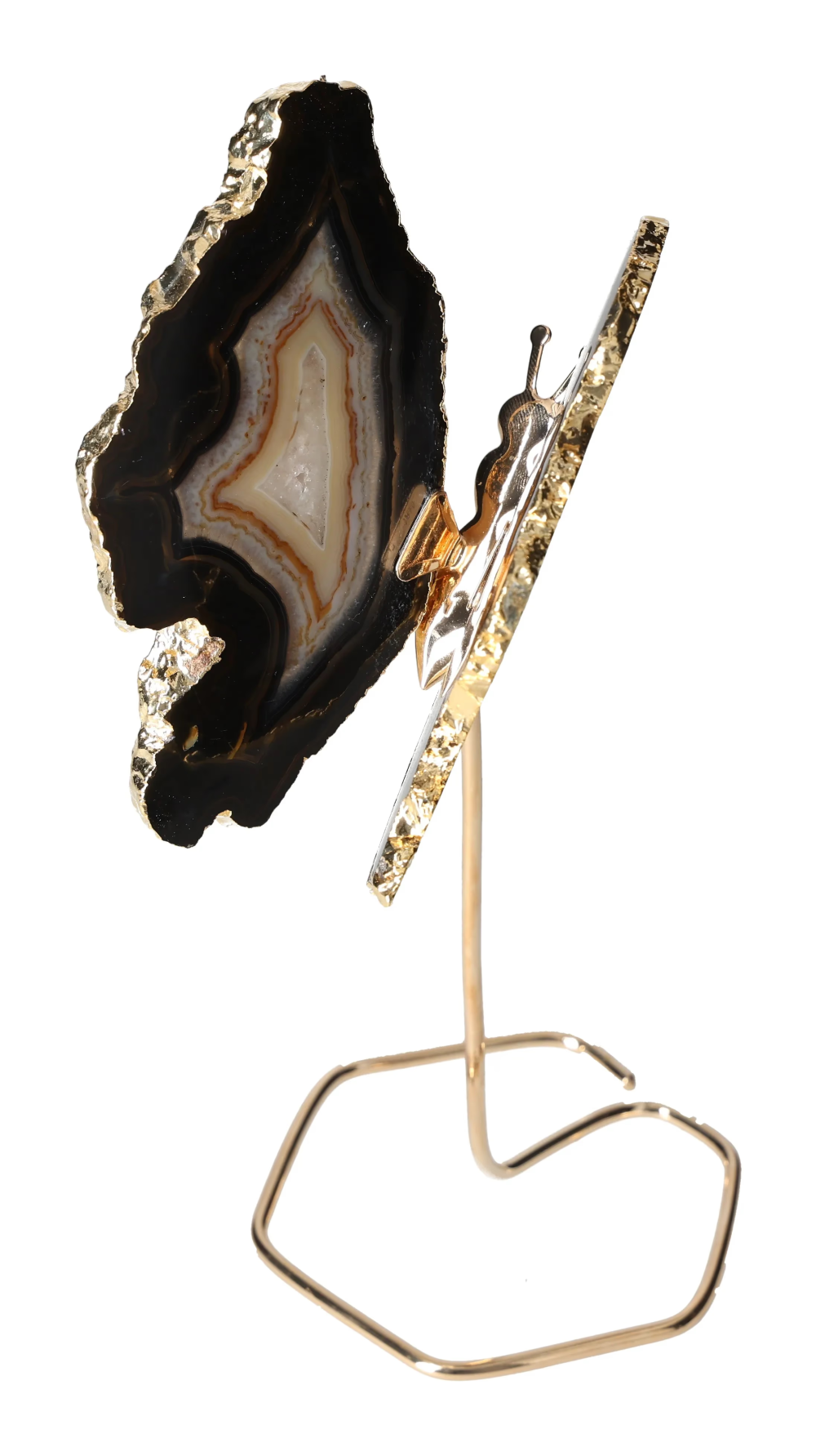 orbitvu|type:image2d