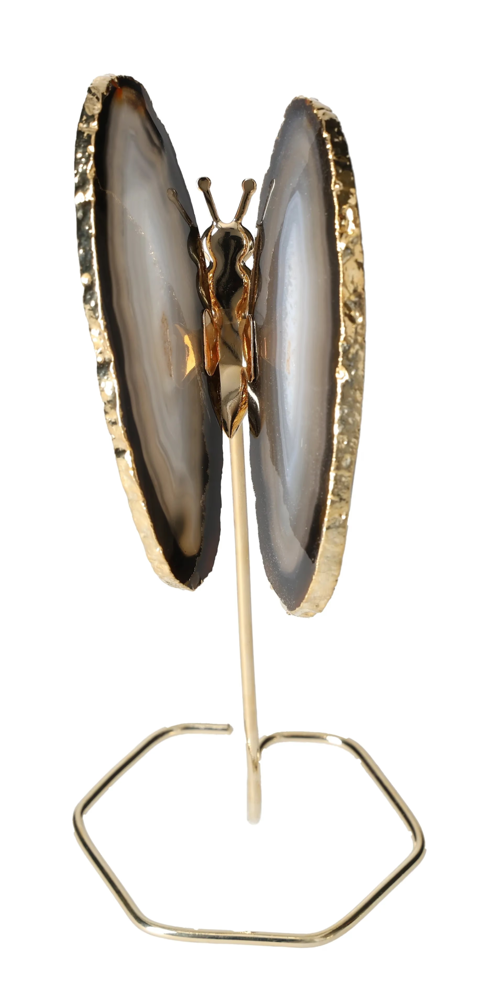 orbitvu|type:image2d