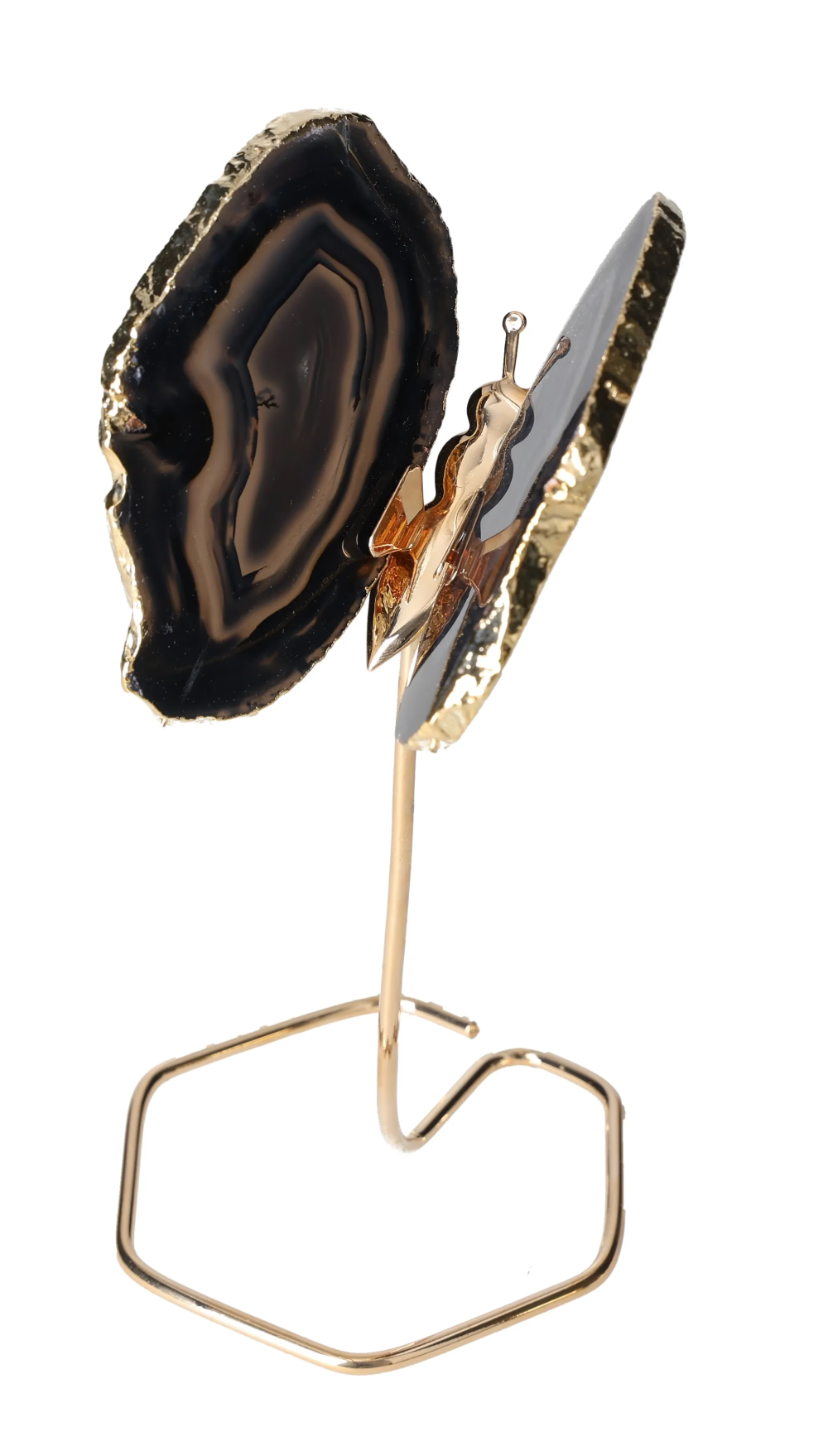 orbitvu|type:image2d