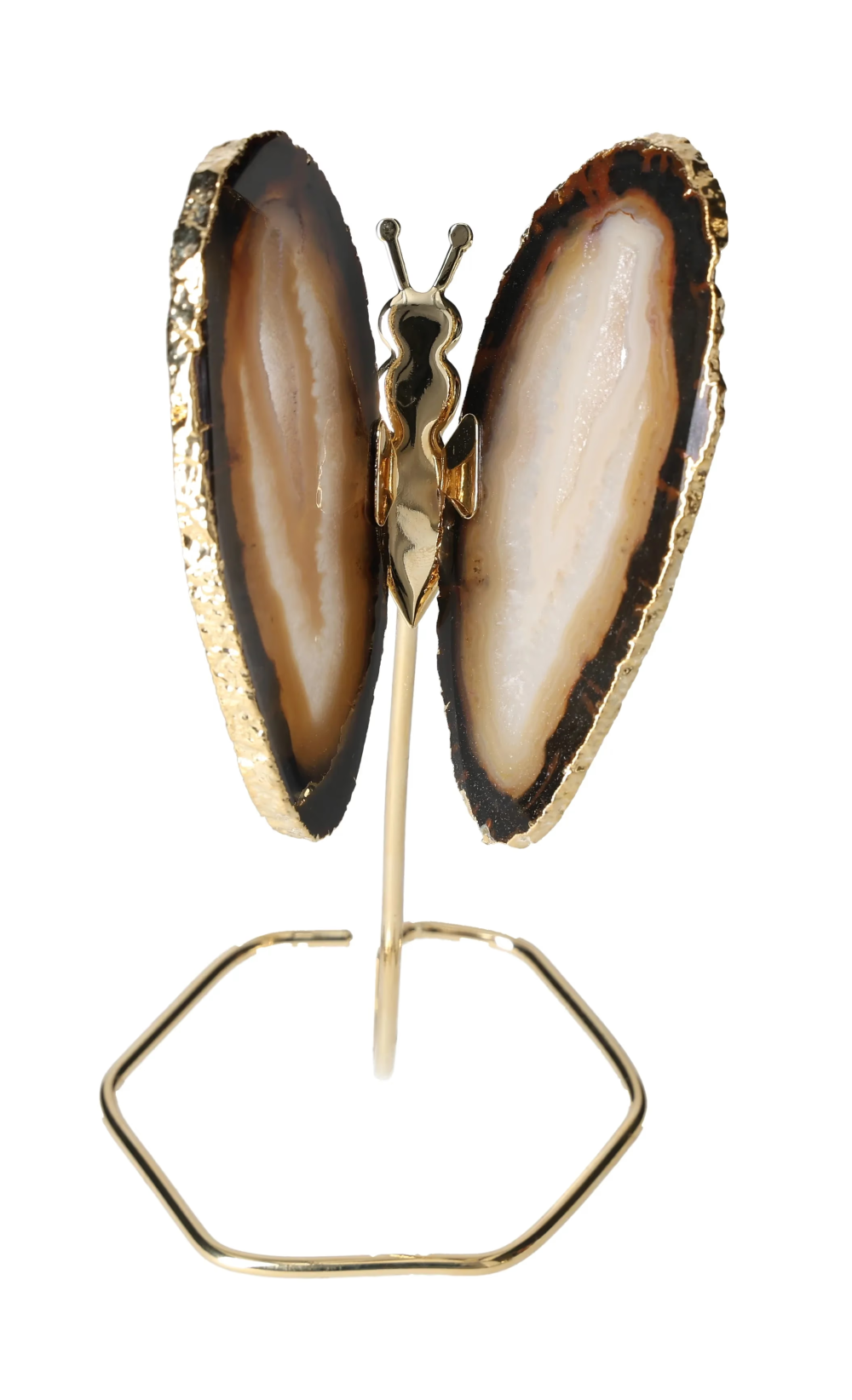 orbitvu|type:image2d