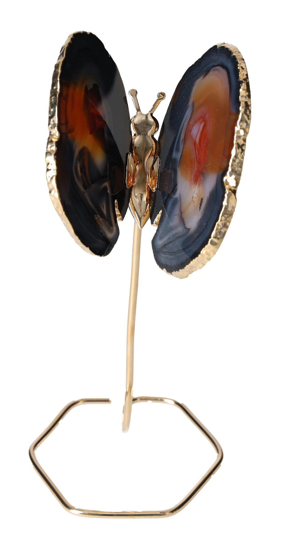 orbitvu|type:image2d