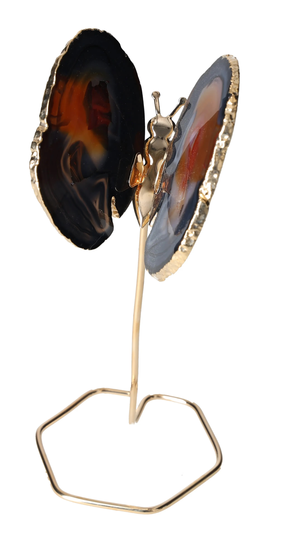 orbitvu|type:image2d