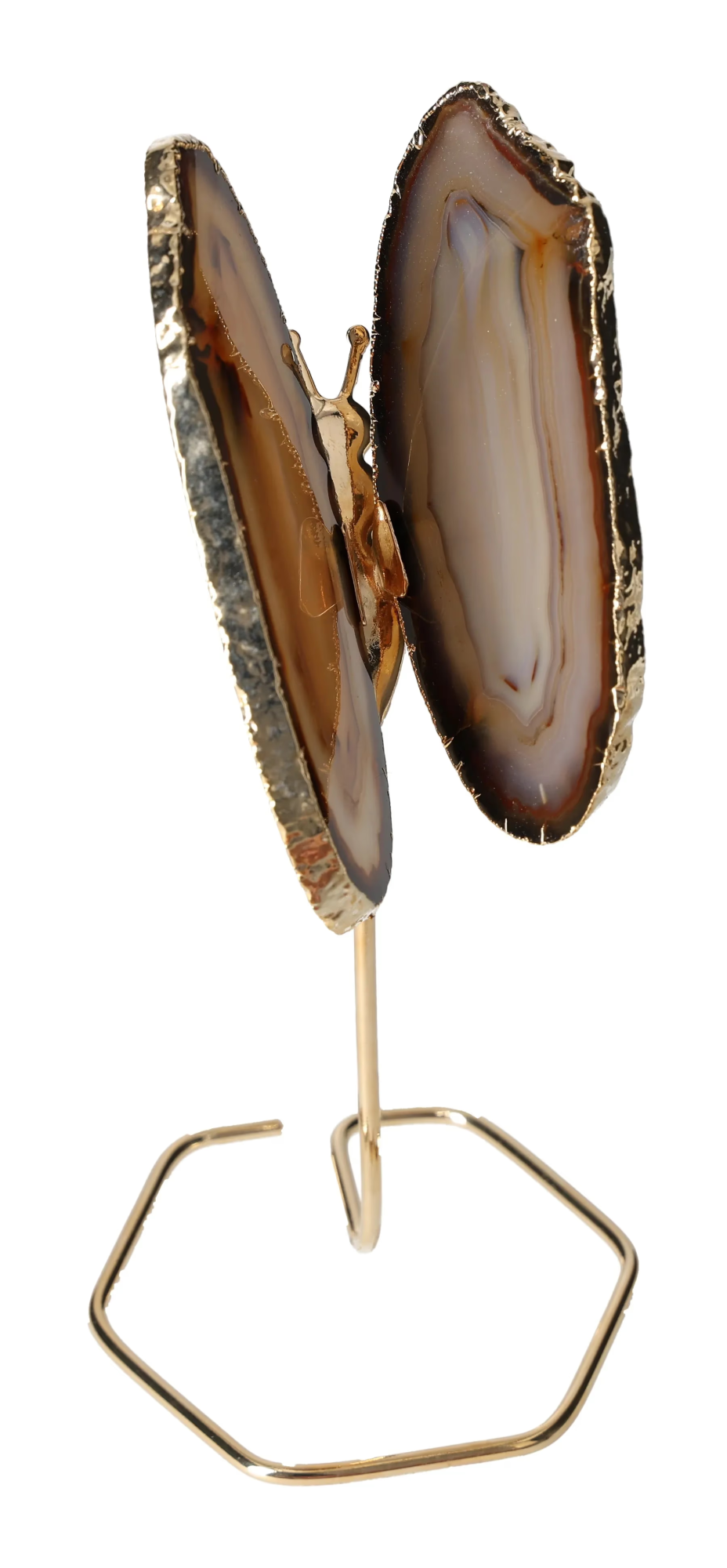 orbitvu|type:image2d