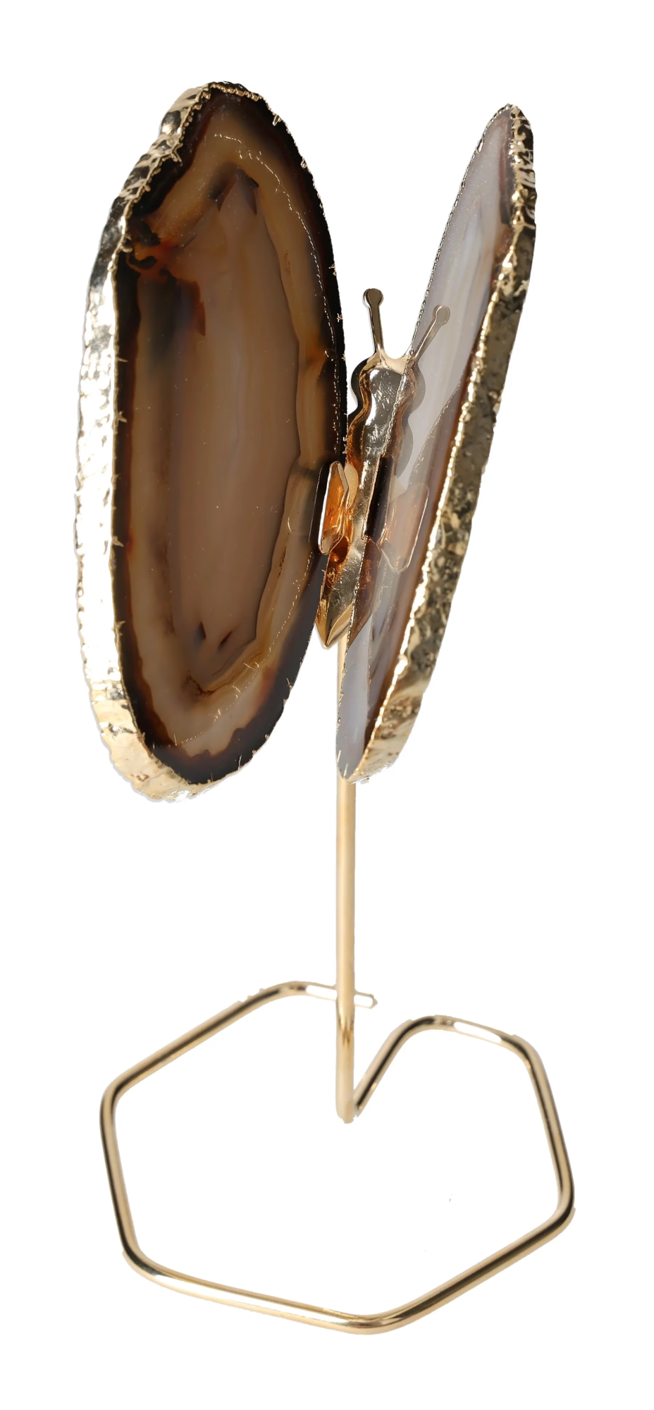 orbitvu|type:image2d