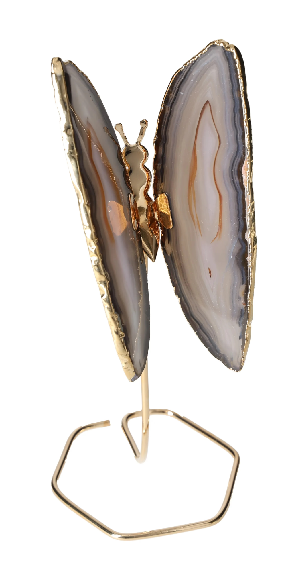 orbitvu|type:image2d