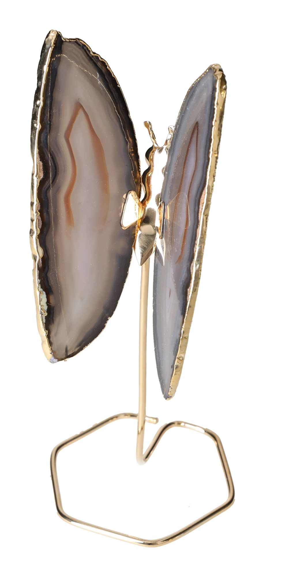 orbitvu|type:image2d