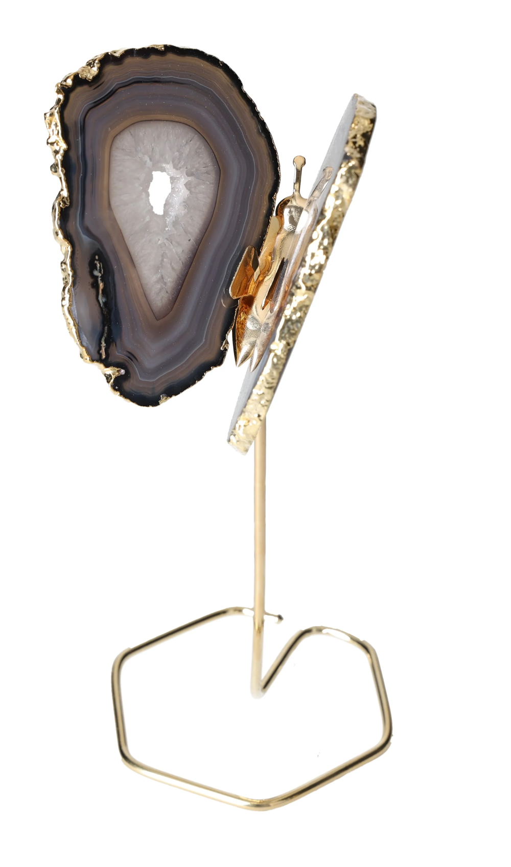 orbitvu|type:image2d