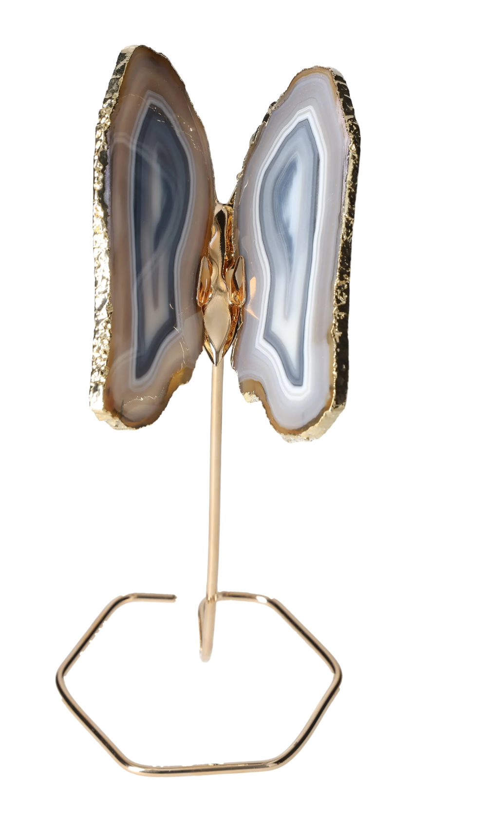 orbitvu|type:image2d