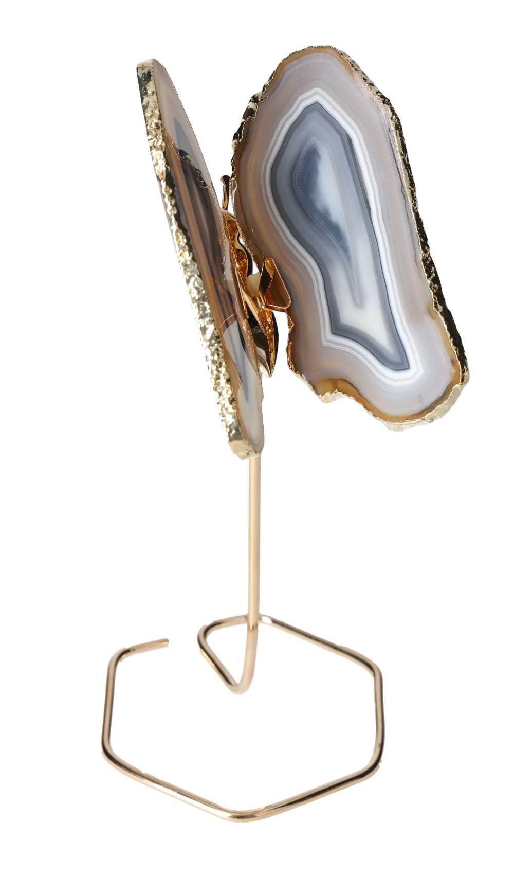 orbitvu|type:image2d