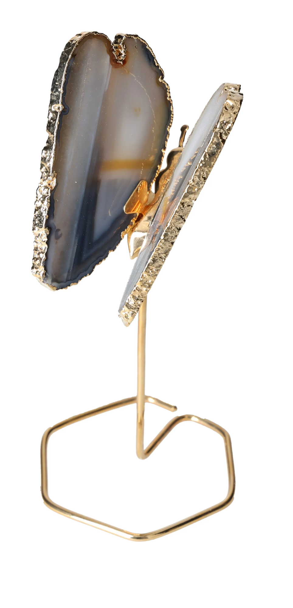 orbitvu|type:image2d