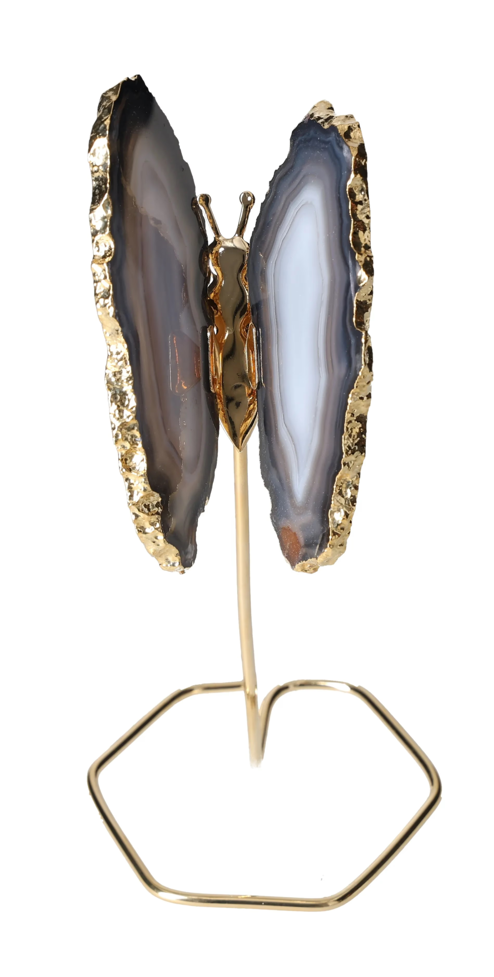 orbitvu|type:image2d