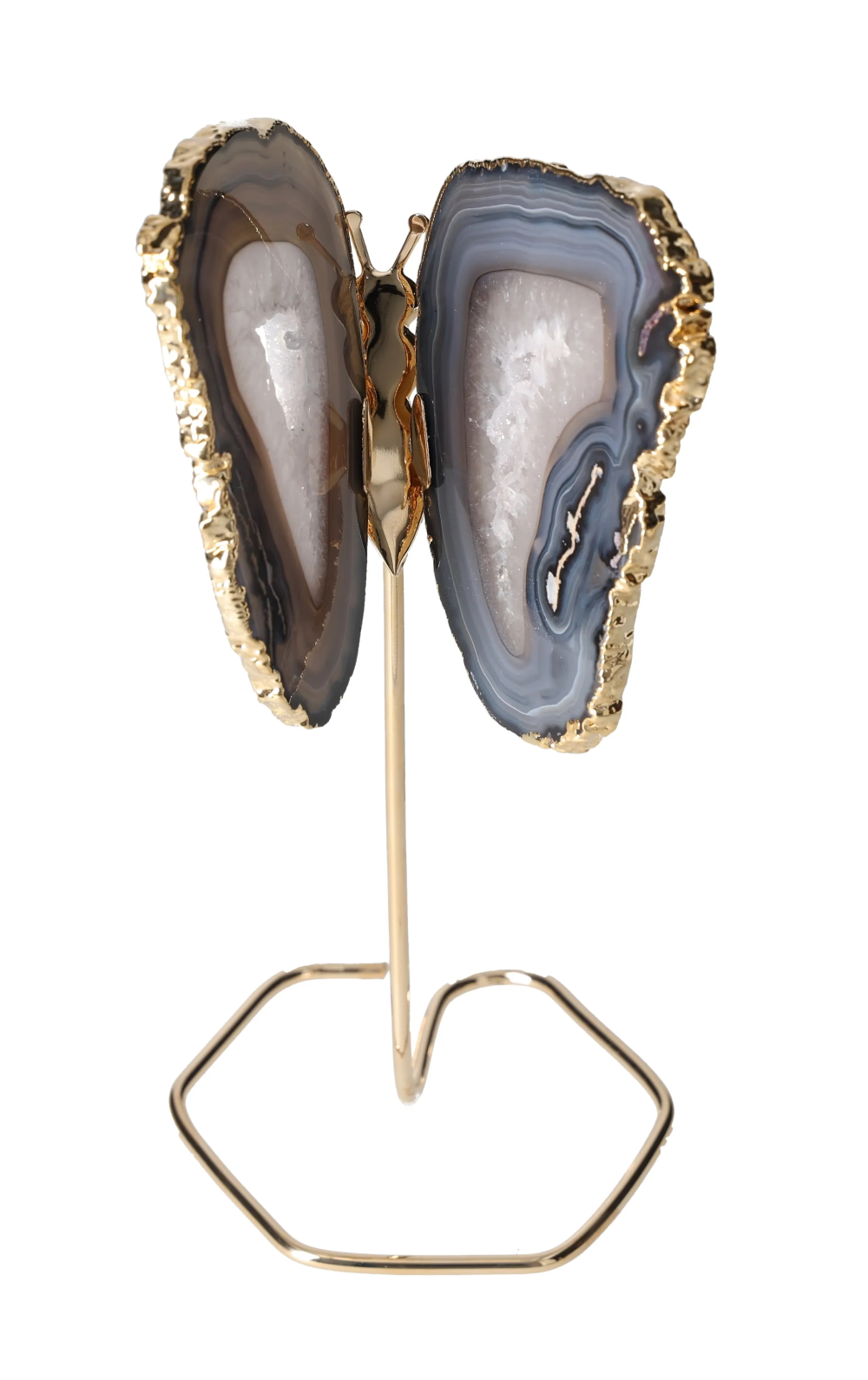 orbitvu|type:image2d