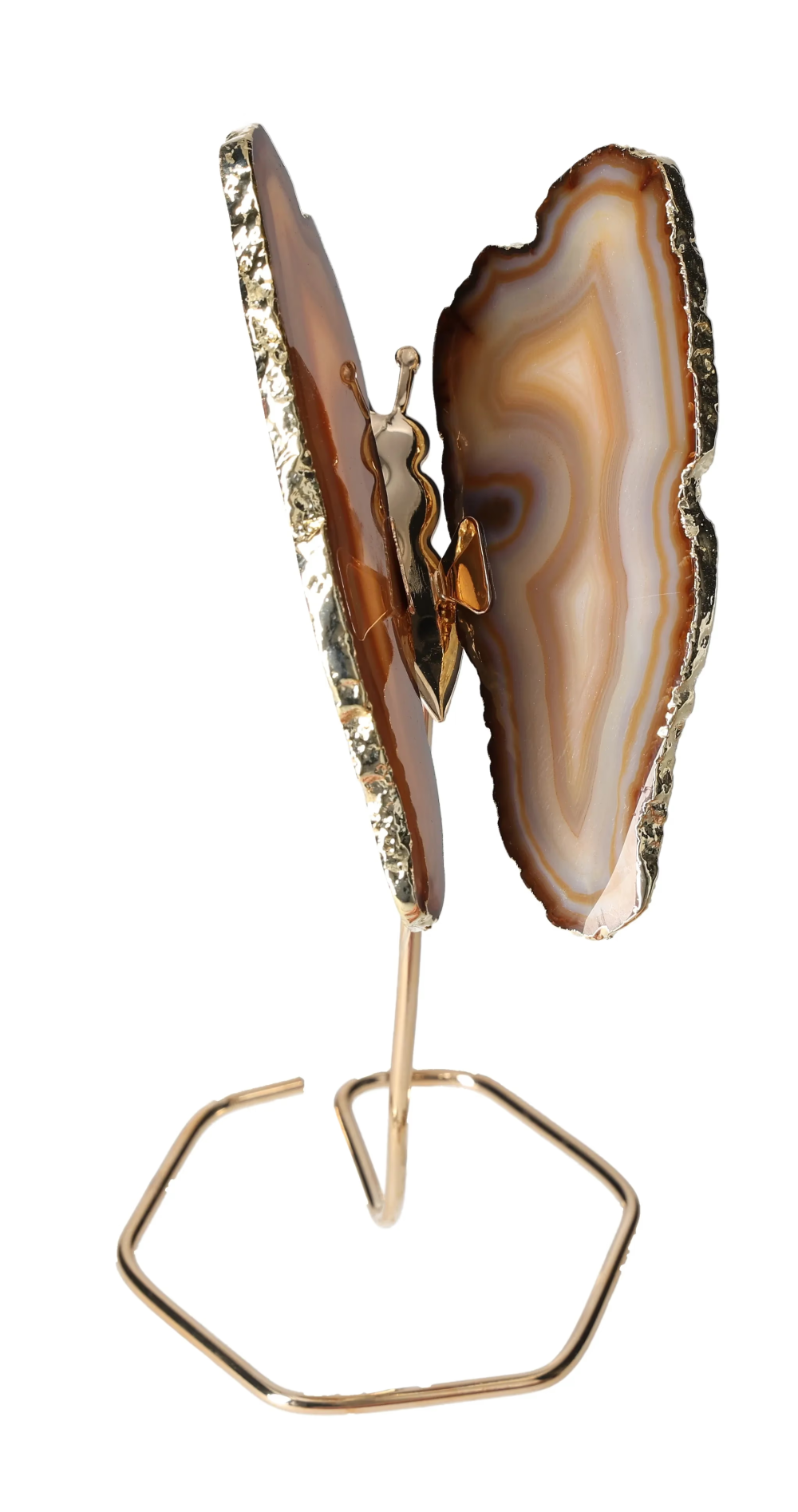 orbitvu|type:image2d