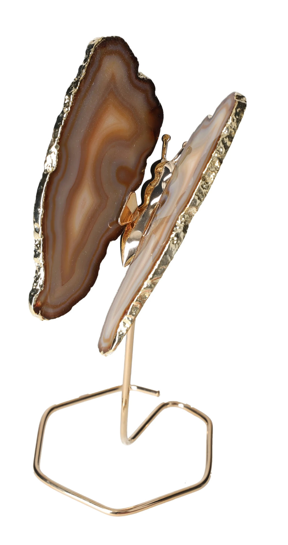 orbitvu|type:image2d